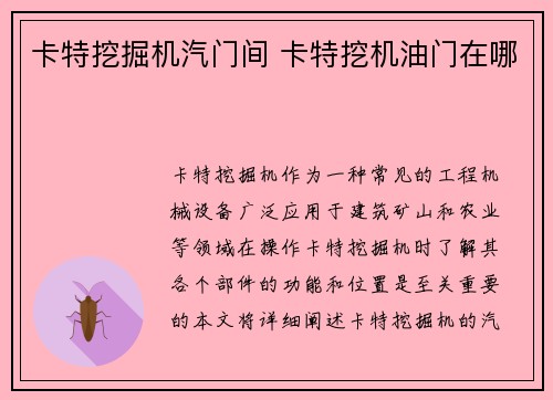 卡特挖掘机汽门间 卡特挖机油门在哪